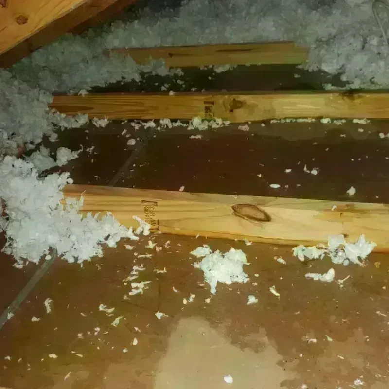 Attic Water Damage in East Grand Forks, MN