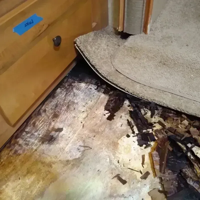 Wood Floor Water Damage in East Grand Forks, MN